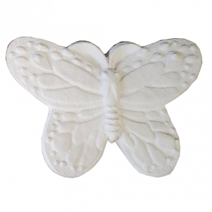 Plaster Paint Butterfly