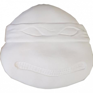 Plaster Paint Turtle