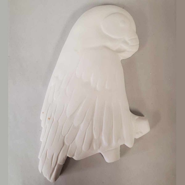 Plaster Paint Parrot