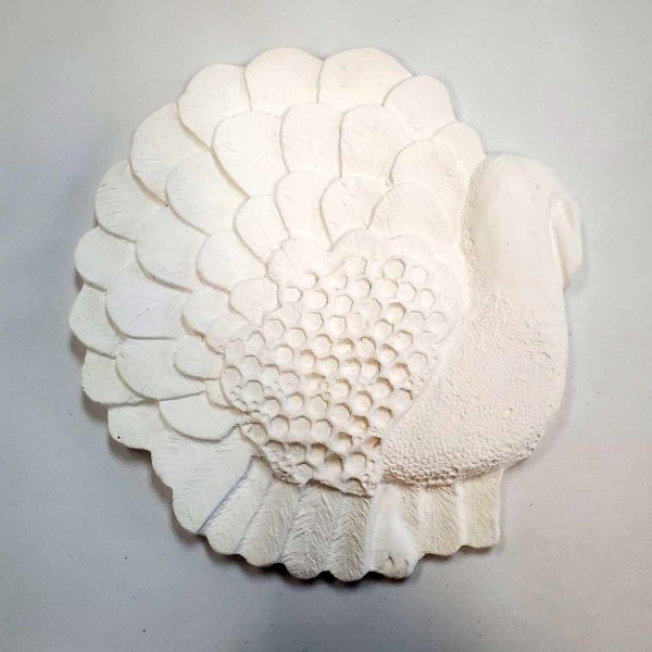 Plaster Paint Turkey