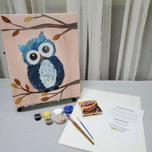 Owl Canvas Paint Art Kit
