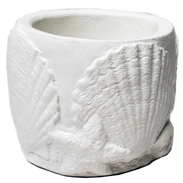 Plaster Paint Seashell Cup