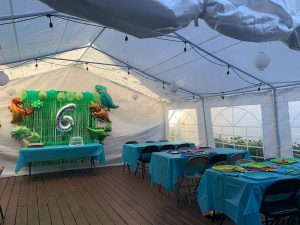 Dinosaur theme party in outdoor tent