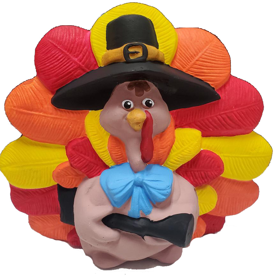 Pilgrim Turkey - A Sprinkle of Fun